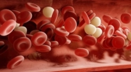 Timeline: History Of Blood
