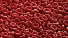 Timeline: History of Blood