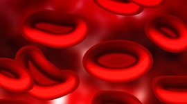 Timeline: History of Blood
