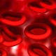 Red blood cells 1