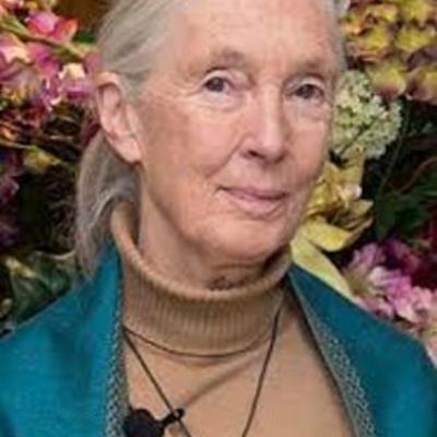 Timeline: Jane Goodall