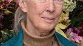 Timeline: Jane Goodall