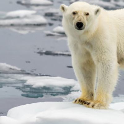 Timeline: Climate Change