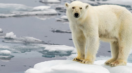 Timeline: Climate Change