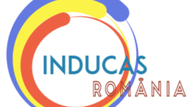 Timeline: Linie cronologică, mentor - stagiar