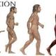 Evolucion