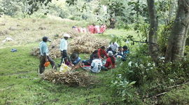 Timeline: Salario Mínimo en Guatemala