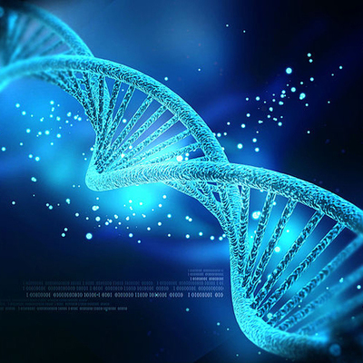 Timeline: Descubrimientos DNA