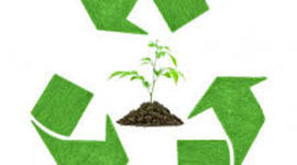 Timeline: Historia de la Ecología