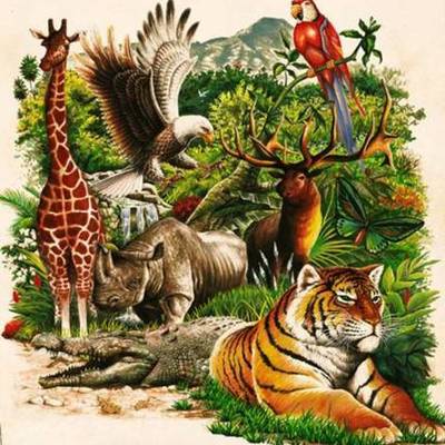 Timeline: LA ECOLOGÍA Y SUS ANTECEDENTES( Ana Isabel Carrillo Becerra)