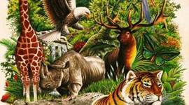 Timeline: LA ECOLOGÍA Y SUS ANTECEDENTES( Ana Isabel Carrillo Becerra)