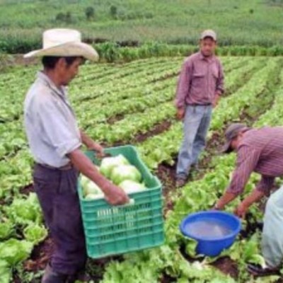 Timeline: Salario Mínimo