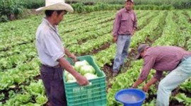 Timeline: Salario Mínimo