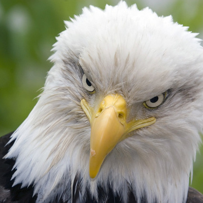 Timeline: 1302 Timeline Project