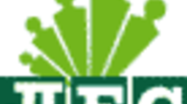 Timeline: My timeline