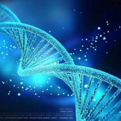 Timeline: Principales descubrimientos del ADN