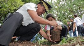 Timeline: Siembra de 20,000 Árboles