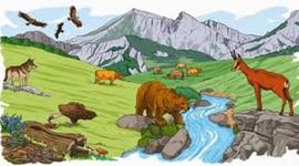 Timeline: Evolución de los Seres Vivos