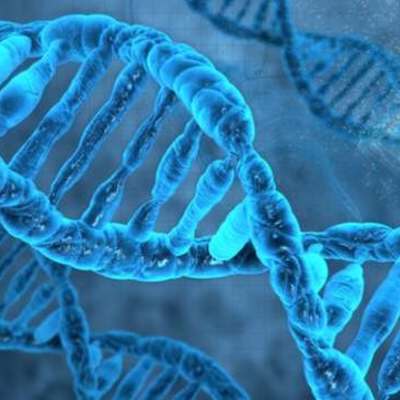 Timeline: Female Scientists