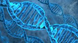 Timeline: Female Scientists