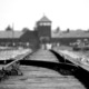 Birkenau 402324 1280