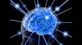 Timeline: DESARROLLO DEL CONOCIMIENTO