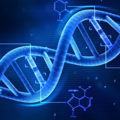 Timeline: Blueprint of Life - scientists