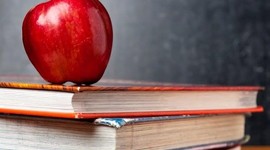 Timeline: Historical Timeline