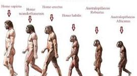 Timeline: Evolución de los homínidos