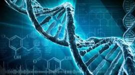 Timeline: PRINCIPALES ACONTECIMIENTOS DEL DNA