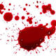 Blood