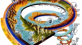 Timeline: Evolución de la Vida