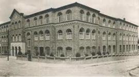 Timeline: Historia De La Usta