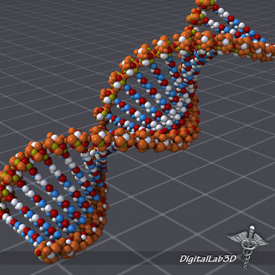 Timeline: Cronograma sobre los principales descubrimientos del DNA