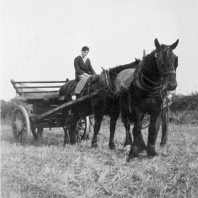 Timeline: The history of British agriculture.