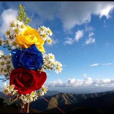 Timeline: HISTORIA DE COLOMBIA.