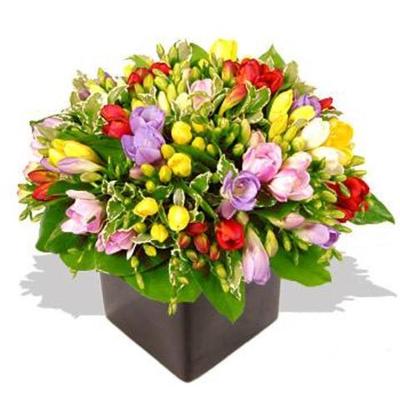 Timeline: Mentor-stagiar