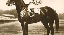 Timeline: The Racehorse of the Century-Man O' War
