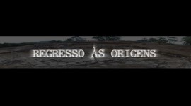 Timeline: As origens