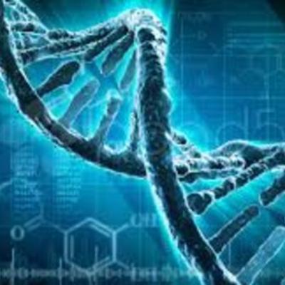 Timeline: DESCUBRIMIENTOS DEL DNA.