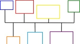 Timeline: DESARROLLO SEMANA TRAS SEMANA DEL CURSO