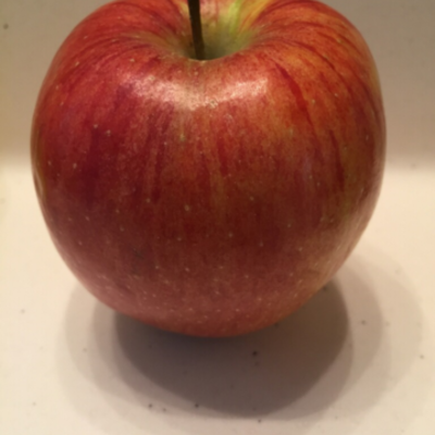 Timeline: Important events in the History of American Education