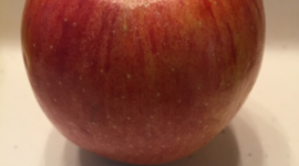 Timeline: Important events in the History of American Education