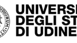 Timeline: Percorso di studi universitario