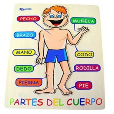 Timeline: Esquema Corporal