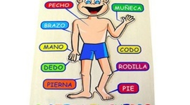 Timeline: Esquema Corporal