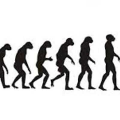 Timeline: Las Fechas Más Importantes En La Historia de La Humanidad