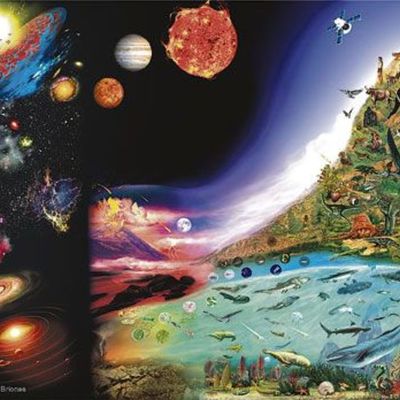 Timeline: Evolución de la Vida en la Tierra