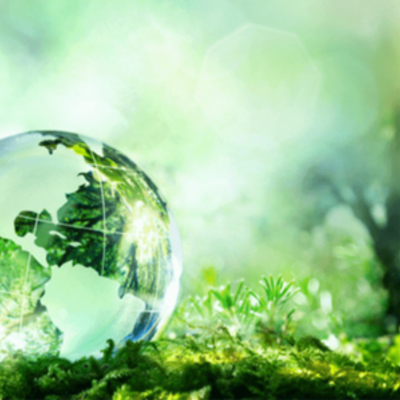 Timeline: Environmental Population