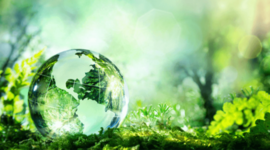 Timeline: Environmental Population